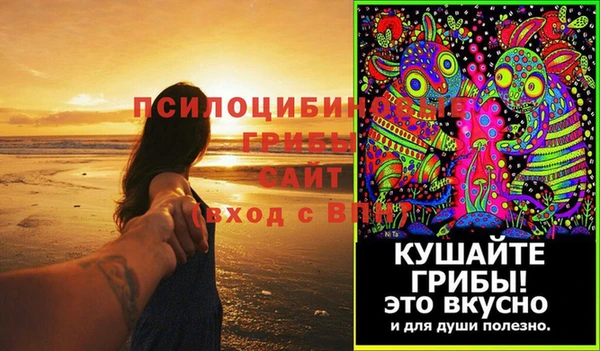твердый Семилуки